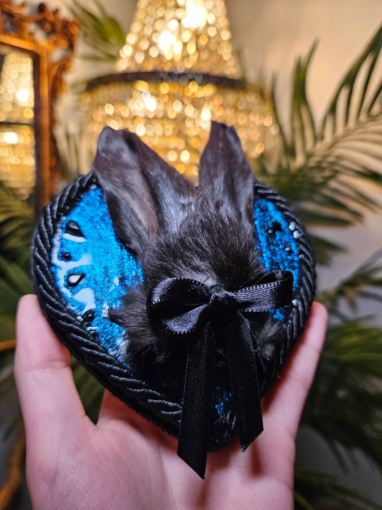 Black & blue bunny ears