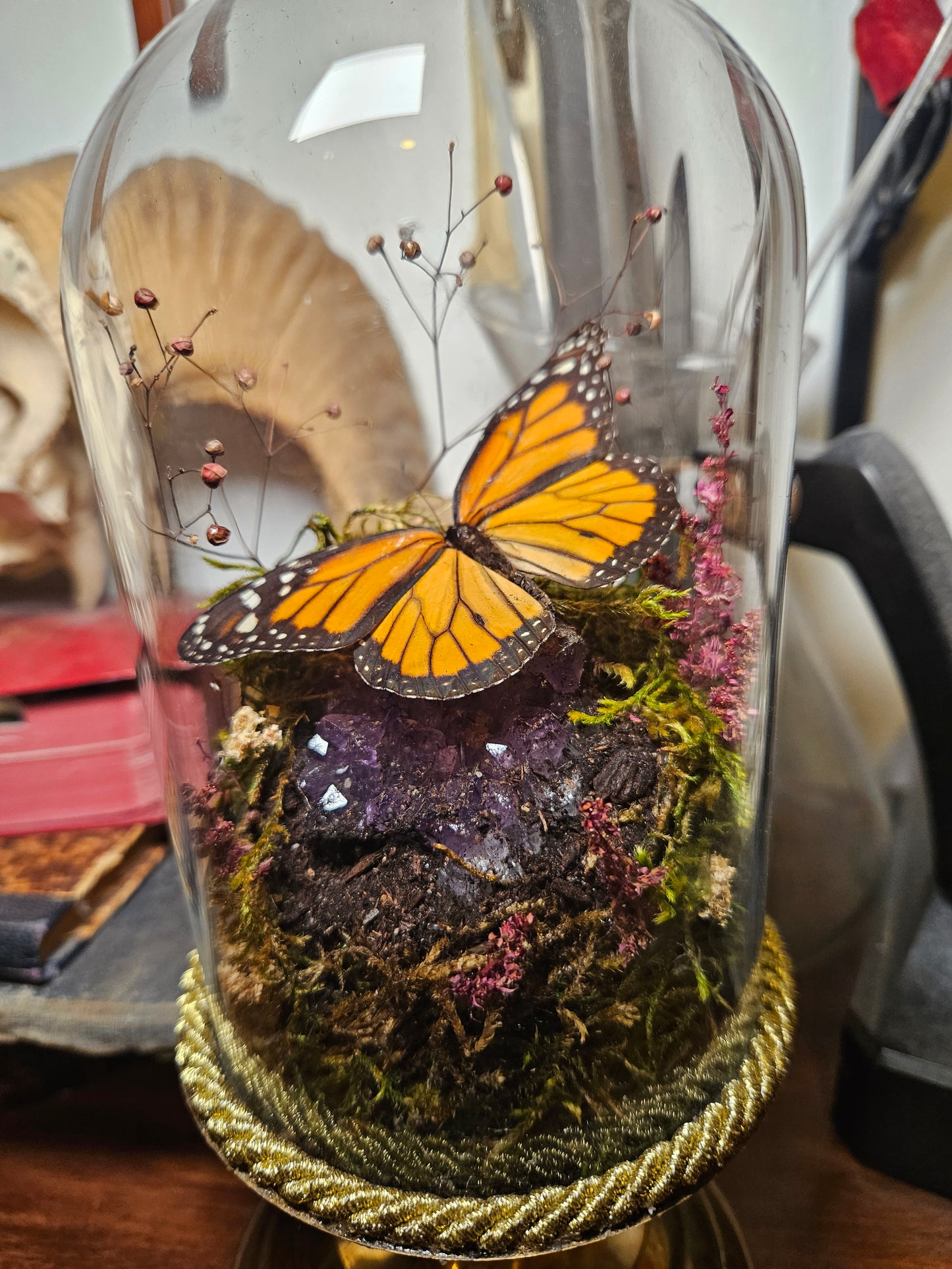 Monarch & Amethyst Dome