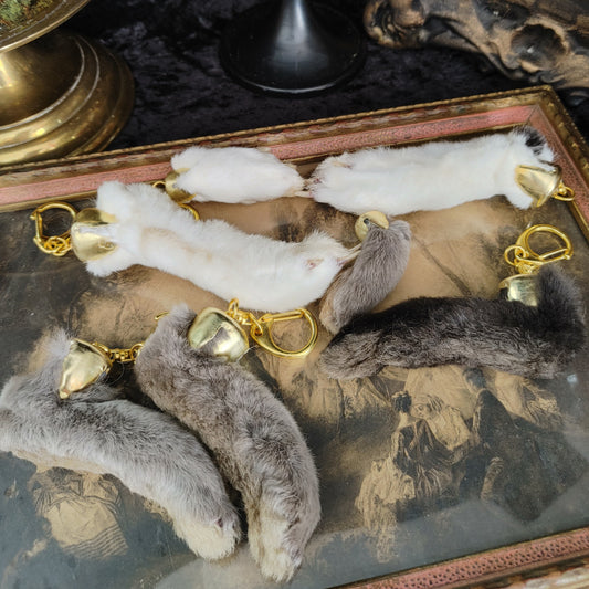 Rabbit foot keychain