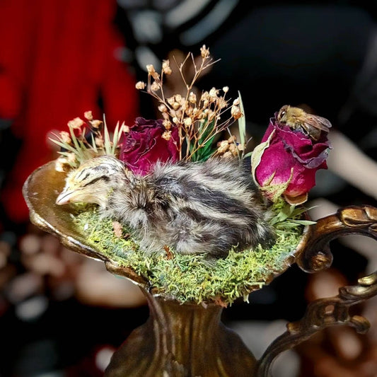 Victorian Sleepy Baby Quail Vase